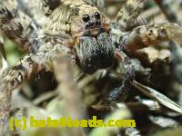 /home//u458753944/public_html/sourcegallery///////////////////////////Roxborough Toad Detour/2013-2019/2017/P3070578.JPG